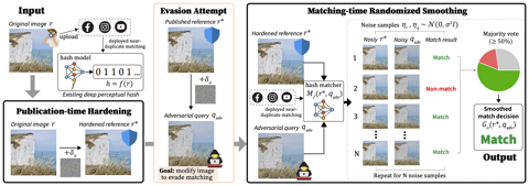 Graphical abstract for Double Down on Defense: Strengthening Deep Perceptual Hashes against Evasion Attacks without Retraining
